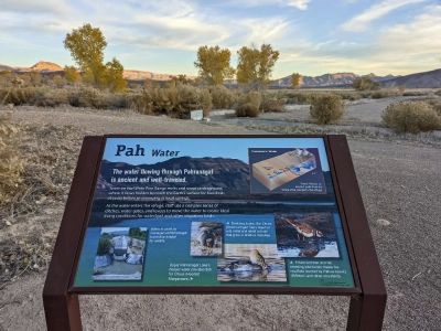 How to Plan a National Wildlife Refuge Road Trip