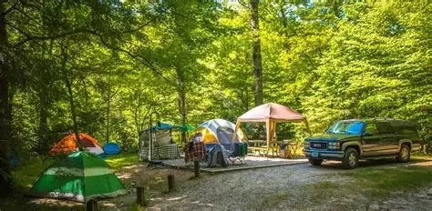 Best Campgrounds With Scenic Forest Clearings | Experience Nature's Beauty