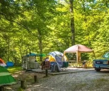 Best Campgrounds With Scenic Forest Clearings | Experience Nature's Beauty