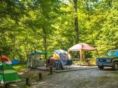 Best Campgrounds With Scenic Forest Clearings | Experience Nature's Beauty