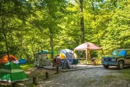 Best Campgrounds With Scenic Forest Clearings | Experience Nature's Beauty