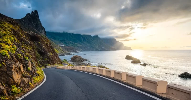 How to Plan a Bay Area Coastal Road Trip: The Ultimate Guide for Travelers