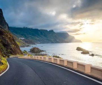 How to Plan a Bay Area Coastal Road Trip: The Ultimate Guide for Travelers