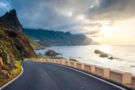 How to Plan a Bay Area Coastal Road Trip: The Ultimate Guide for Travelers