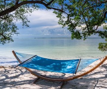 Best Campgrounds with Beach-Side Hammock Spots for Relaxing Getaways