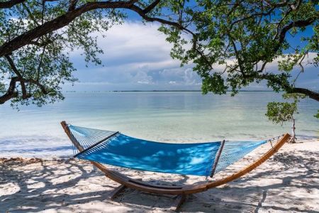 Best Campgrounds with Beach-Side Hammock Spots for Relaxing Getaways
